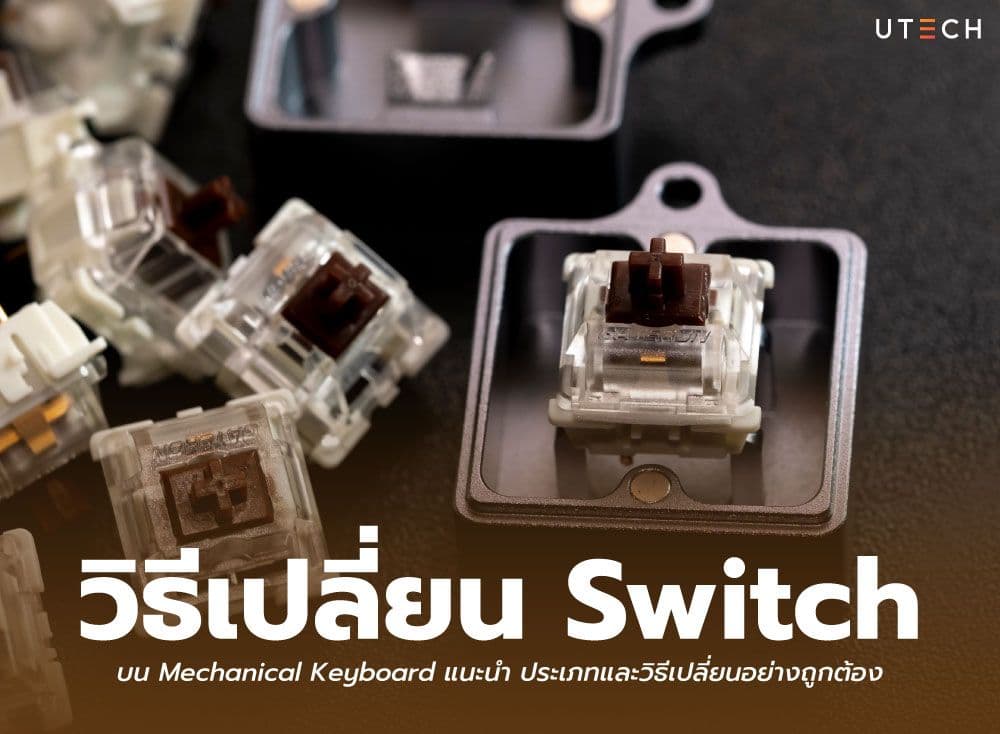 วิธีเปลี่ยน Switch บน Mechanical Keyboard แนะนำ ประเภทและวิธีเปลี่ยนอย่างถูกต้อง