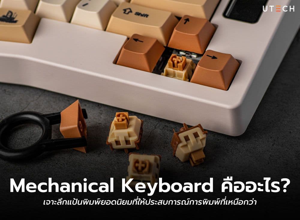 Mechanical Keyboard คืออะไร? เจาะลึกแป้นพิมพ์ยอดนิยมที่ให้ประสบการณ์การพิมพ์ที่เหนือกว่า