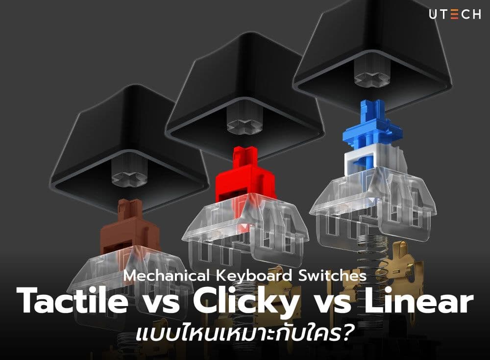 Mechanical Keyboard Switches แบบ Tactile vs. Clicky vs. Linear แบบไหนเหมาะกับใคร?