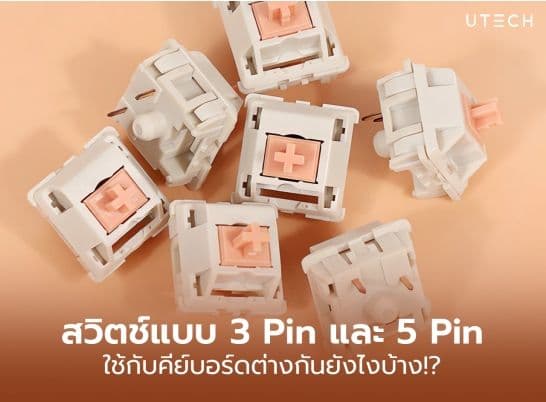 Custom คีย์บอร์ดแบบมือโปร ต้องรู้จัก สวิตช์แบบ 3 pin และ 5 pin คืออะไร
