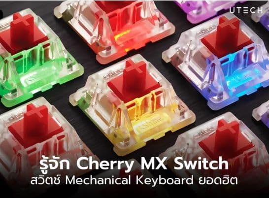 รู้จักกับ Cherry MX Switch คืออะไร มีกี่สี แต่ละสีเหมาะกับการใช้งานแบบไหน