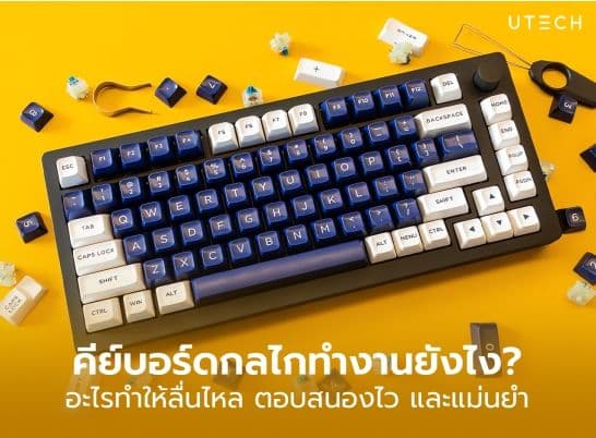 Mechanical Keyboard ทำงานยังไง เปิดกลไกคีย์บอร์ดสายพันธุ์แกร่ง