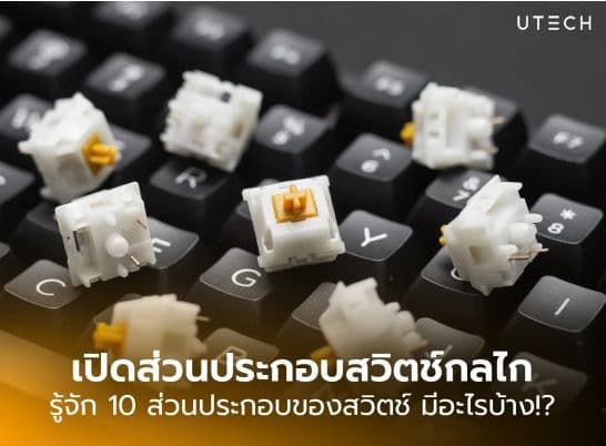 เปิดส่วนประกอบสวิตช์กลไก รู้จัก 10 ส่วนประกอบของสวิตช์ใน Mechanical Keyboards มีอะไรบ้าง?